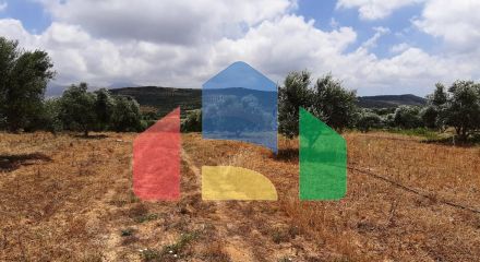 For Sale - Land 15000 m² in Crete