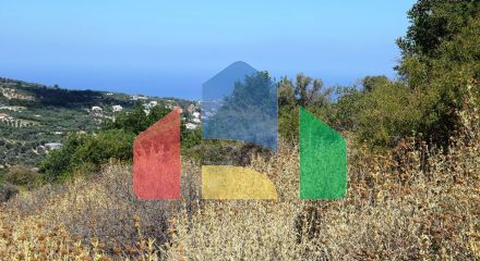 For Sale - Land 6705 m² in Crete