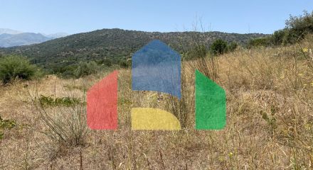 For Sale - Land 5335 m² in Crete