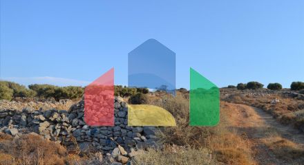Продажа - Земельный участок 6000 m² на Крите