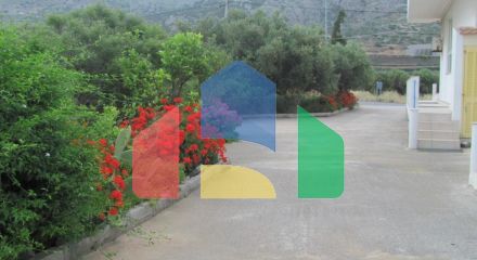 For Sale - Business 579 m² in Crete