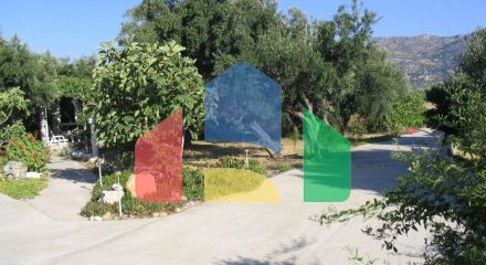 Продаж - Бізнес 579 m² на Криті