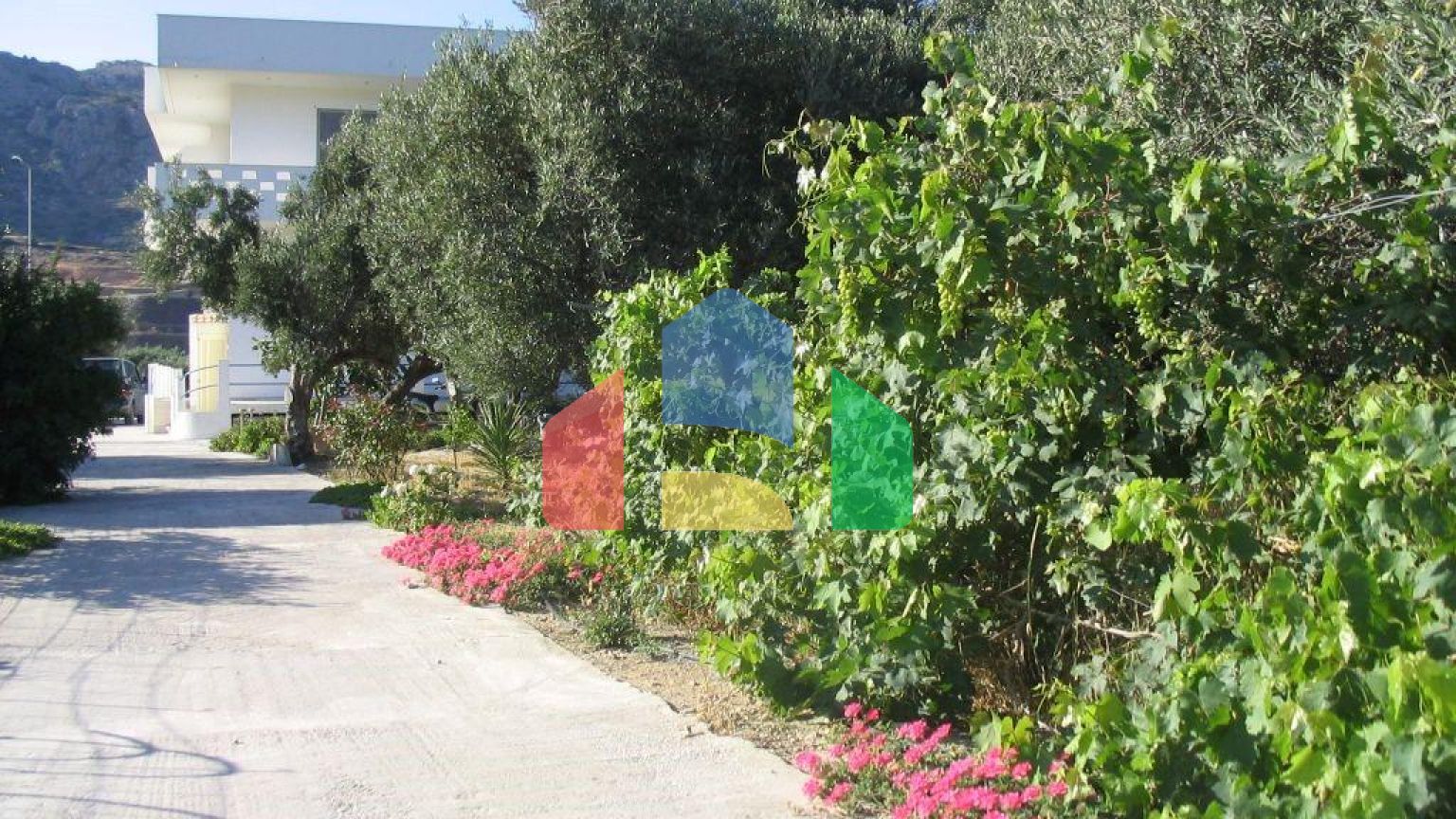 Продаж - Бізнес 579 m² на Криті