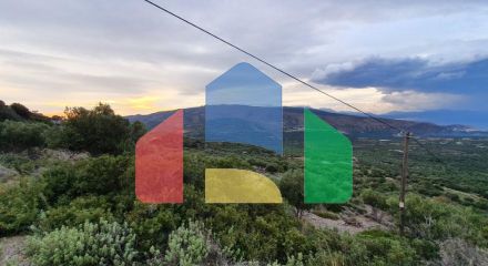 Продажа - Земельный участок 19000 m² на Крите