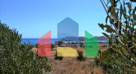 Продажа - Земельный участок 24000 m² на Крите