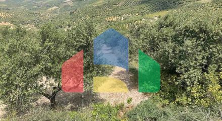 For Sale - Land 4050 m² in Crete