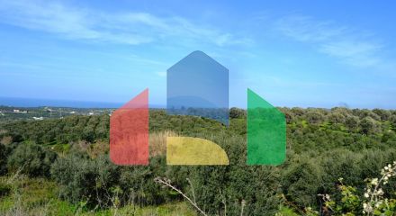 For Sale - Land 5500 m² in Crete