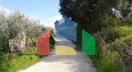 For Sale - Land 5500 m² in Crete