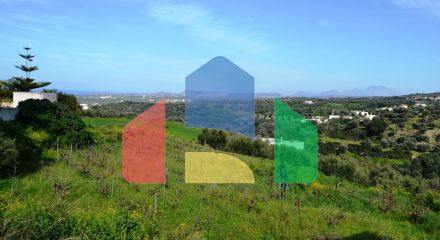 For Sale - Land 5500 m² in Crete