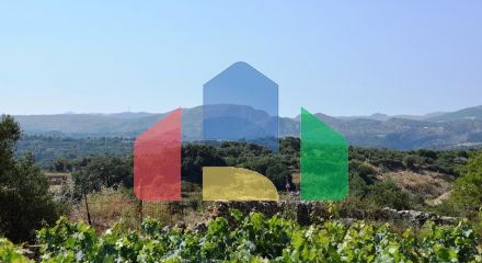 For Sale - Land 4000 m² in Crete