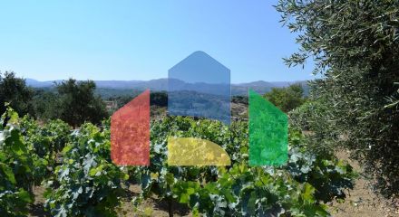 For Sale - Land 4000 m² in Crete