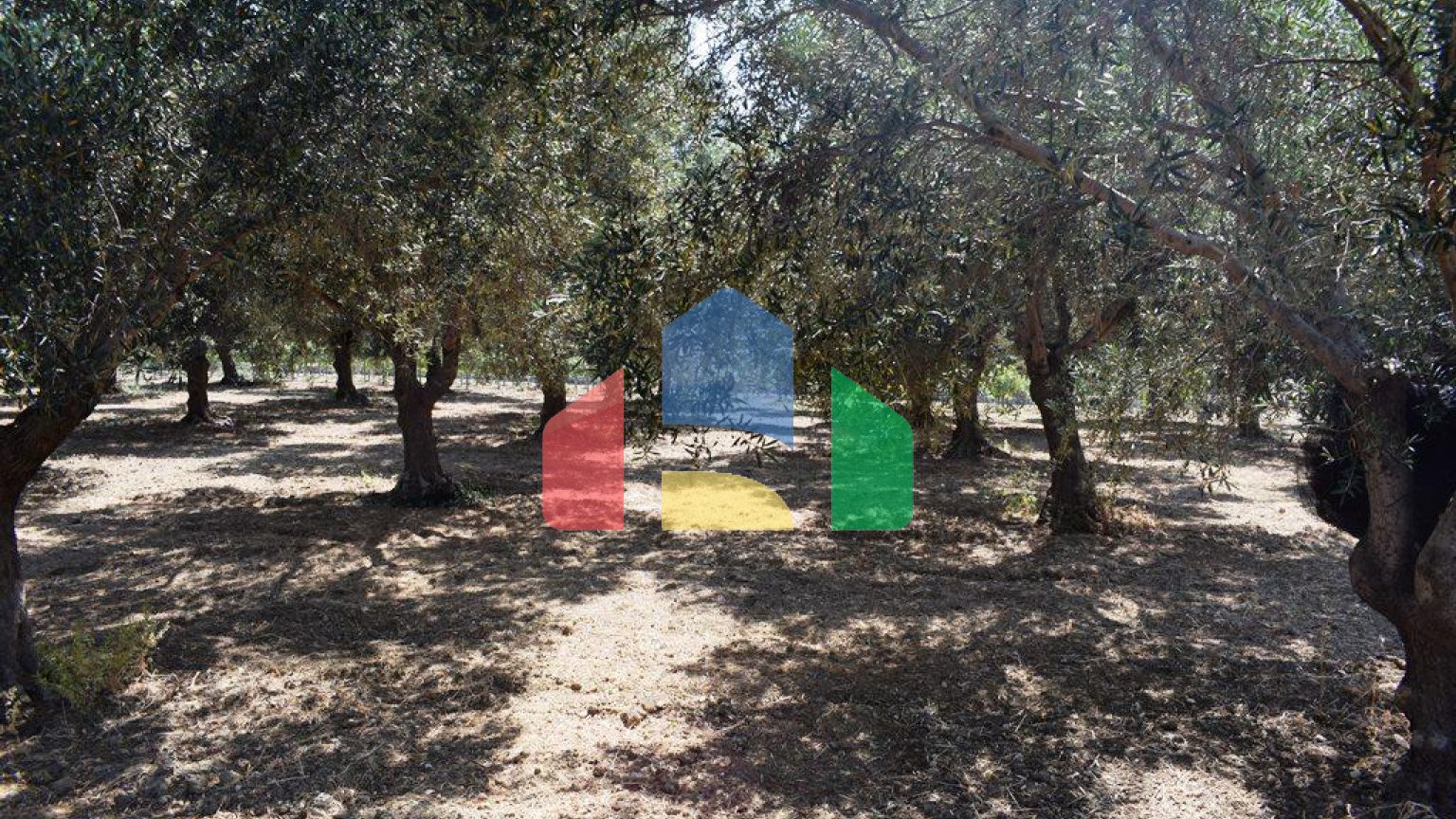 Продаж - Земельна ділянка 4000 m² на Криті