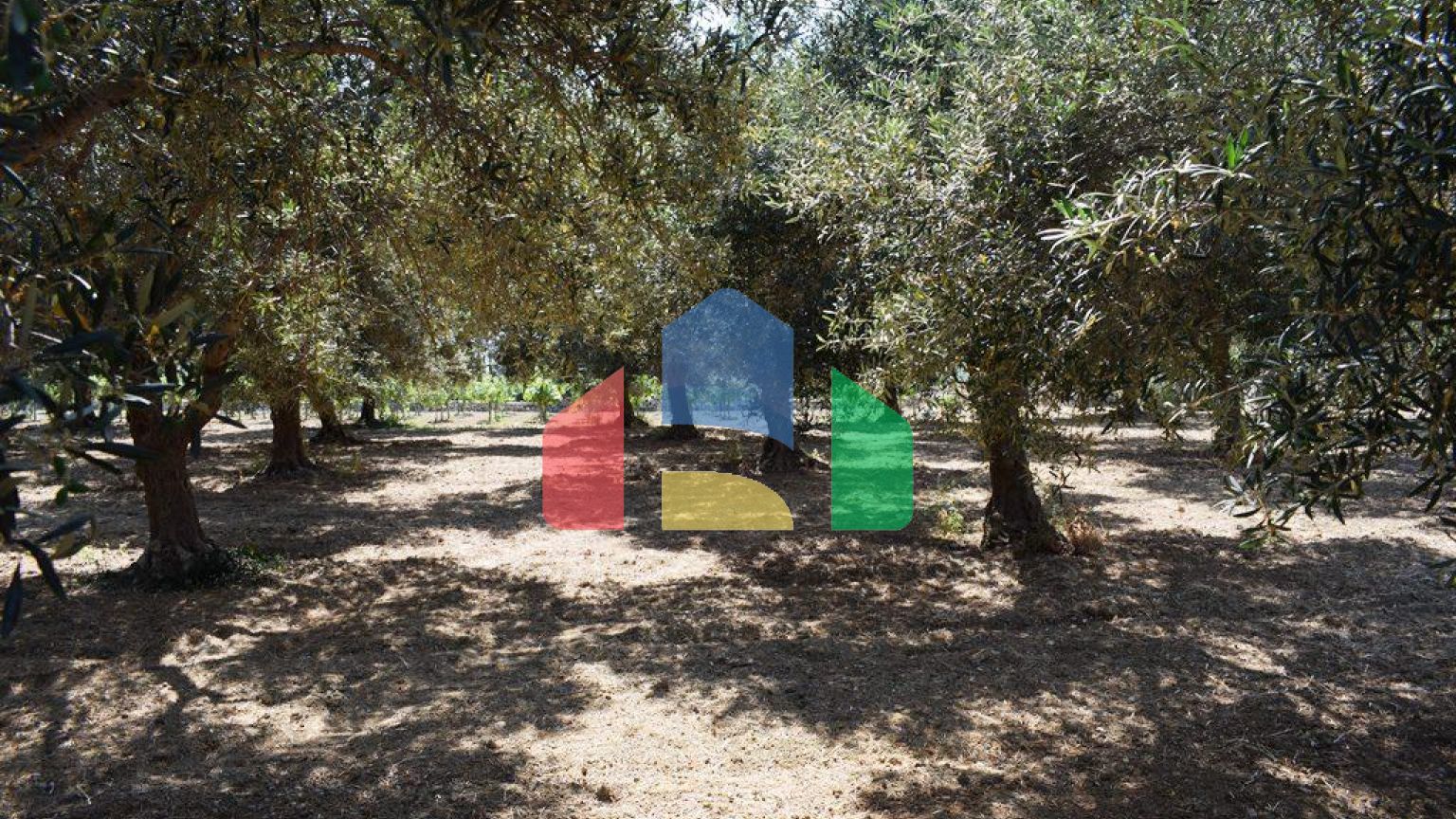 Продаж - Земельна ділянка 4000 m² на Криті