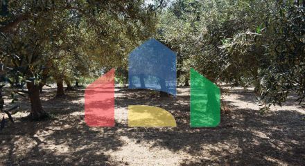 Продаж - Земельна ділянка 4000 m² на Криті