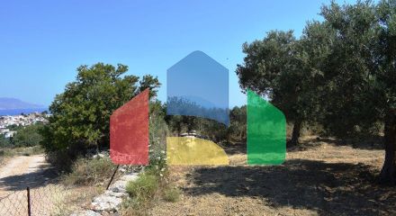 Продаж - Земельна ділянка 4000 m² на Криті