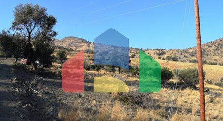 For Sale - Land 4168 m² in Crete