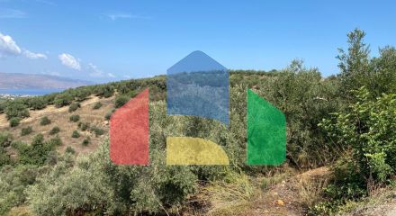 For Sale - Land 3732 m² in Crete
