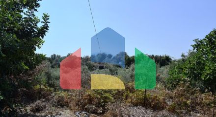 Продажа - Земельный участок 11500 m² на Крите