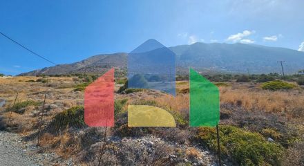 For Sale - Land 5159 m² in Crete