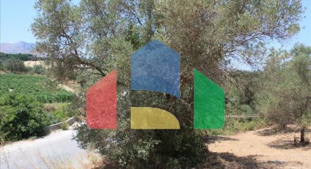 For Sale - Land 4647 m² in Crete