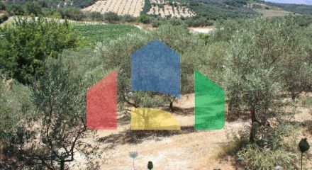 For Sale - Land 4647 m² in Crete