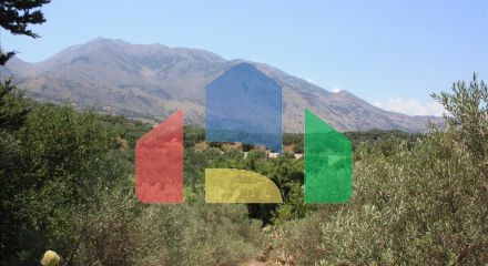 For Sale - Land 4647 m² in Crete