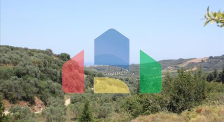 For Sale - Land 4647 m² in Crete