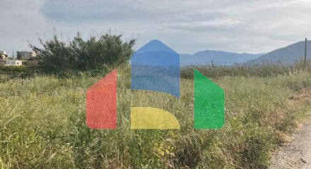 For Sale - Land 2500 m² in Crete