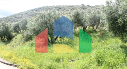 For Sale - Land 6890 m² in Crete