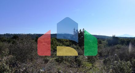 Продажа - Земельный участок 13000 m² на Крите