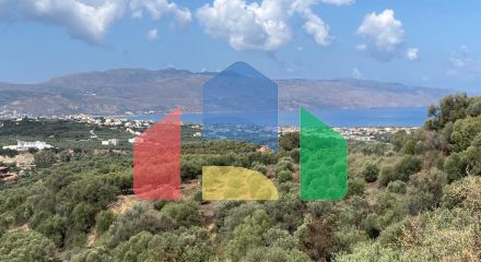 For Sale - Land 5350 m² in Crete