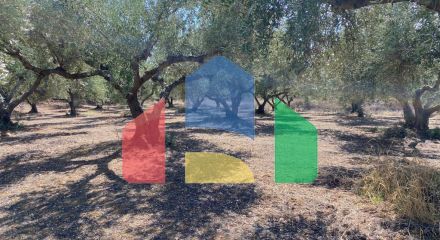 For Sale - Land 5350 m² in Crete
