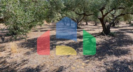 For Sale - Land 5350 m² in Crete