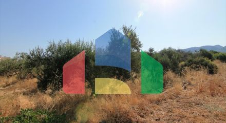 Продажа - Земельный участок 1500 m² на Крите