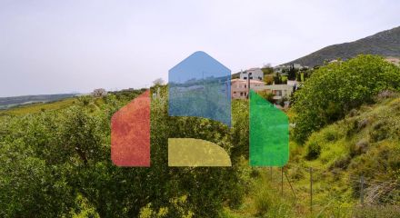 Продаж - Земельна ділянка 2900 m² на Криті