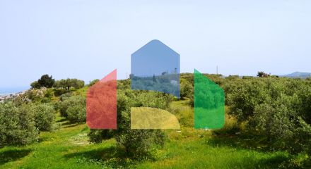 Продаж - Земельна ділянка 2900 m² на Криті