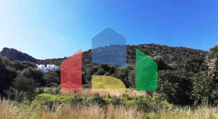 Продажа - Земельный участок 14000 m² на Крите