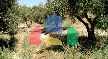 For Sale - Land 4300 m² in Crete