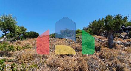 Продажа - Земельный участок 5071 m² на Крите