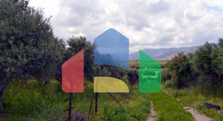 For Sale - Land 4500 m² in Crete