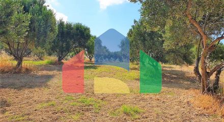 For Sale - Land 3300 m² in Crete