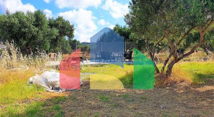 For Sale - Land 3300 m² in Crete