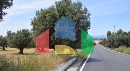 For Sale - Land 5400 m² in Crete
