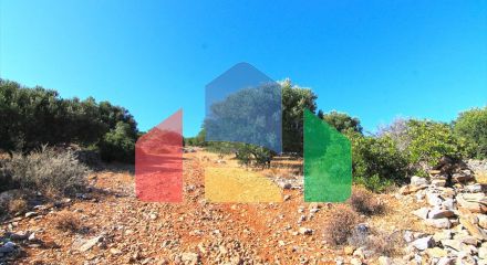 For Sale - Land 4150 m² in Crete