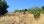 For Sale - Land 400 m² in Crete