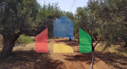 For Sale - Land 4996 m² in Crete