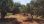 For Sale - Land 4996 m² in Crete