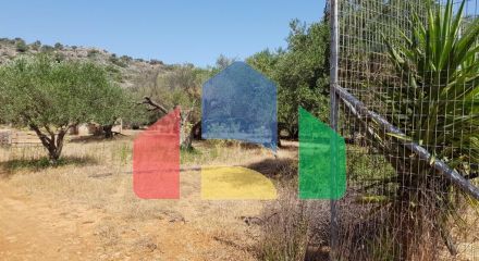 For Sale - Land 4996 m² in Crete