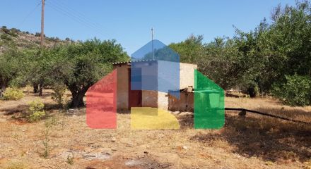 For Sale - Land 4996 m² in Crete