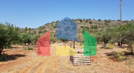 For Sale - Land 4996 m² in Crete